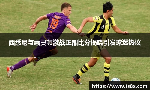 西悉尼与惠灵顿激战正酣比分揭晓引发球迷热议